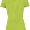 Variation picture for apple green