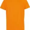Variation picture for neon orange