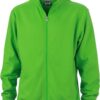 Variation picture for lime green