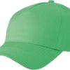Variation picture for lime green