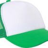 Variation picture for white/fern green