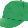 Variation picture for apple green