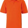 Variation picture for dark orange