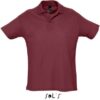 Variation picture for burgundy