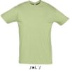 Variation picture for sage green