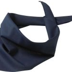 Product Color Thumbnail