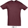 Variation picture for burgundy
