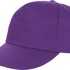 Variation picture for purple