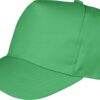 Variation picture for apple green
