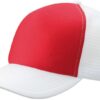Variation picture for red/white