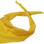 Product Color Thumbnail