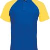 Variation picture for royal blue/white/yellow