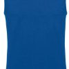 Variation picture for royal blue