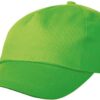 Variation picture for lime green