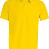 Variation picture for true yellow