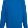 Variation picture for royal blue