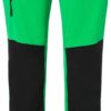 Variation picture for fern green/black