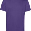 Variation picture for radiant purple