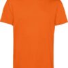 Variation picture for pure orange