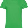 Variation picture for apple green