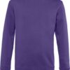 Variation picture for radiant purple