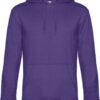 Variation picture for radiant purple