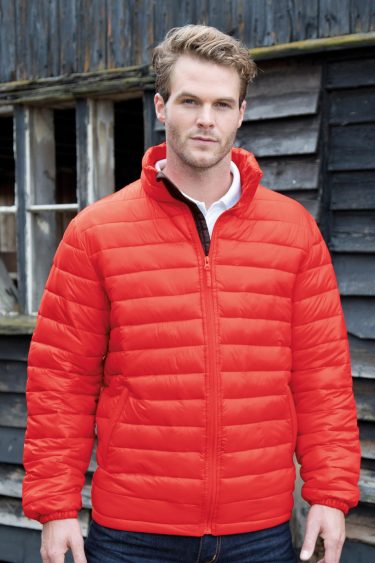 Result Urban | R192M Men's Padded Jacket "Ice Bird"
