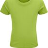 Variation picture for apple green