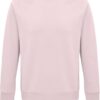 Variation picture for pale pink