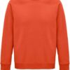 Variation picture for burnt orange