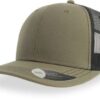 Variation picture for olive/black