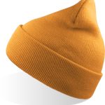 Product Color Thumbnail