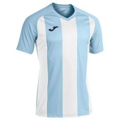 Joma Pisa II Short Sleeve T-Shirt