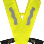 Product Color Thumbnail
