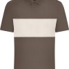 Variation picture for muddy brown/sandstone