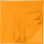 Product Color Thumbnail