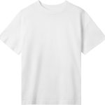 Product Color Thumbnail