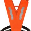 Variation picture for orange