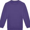 Variation picture for radiant purple